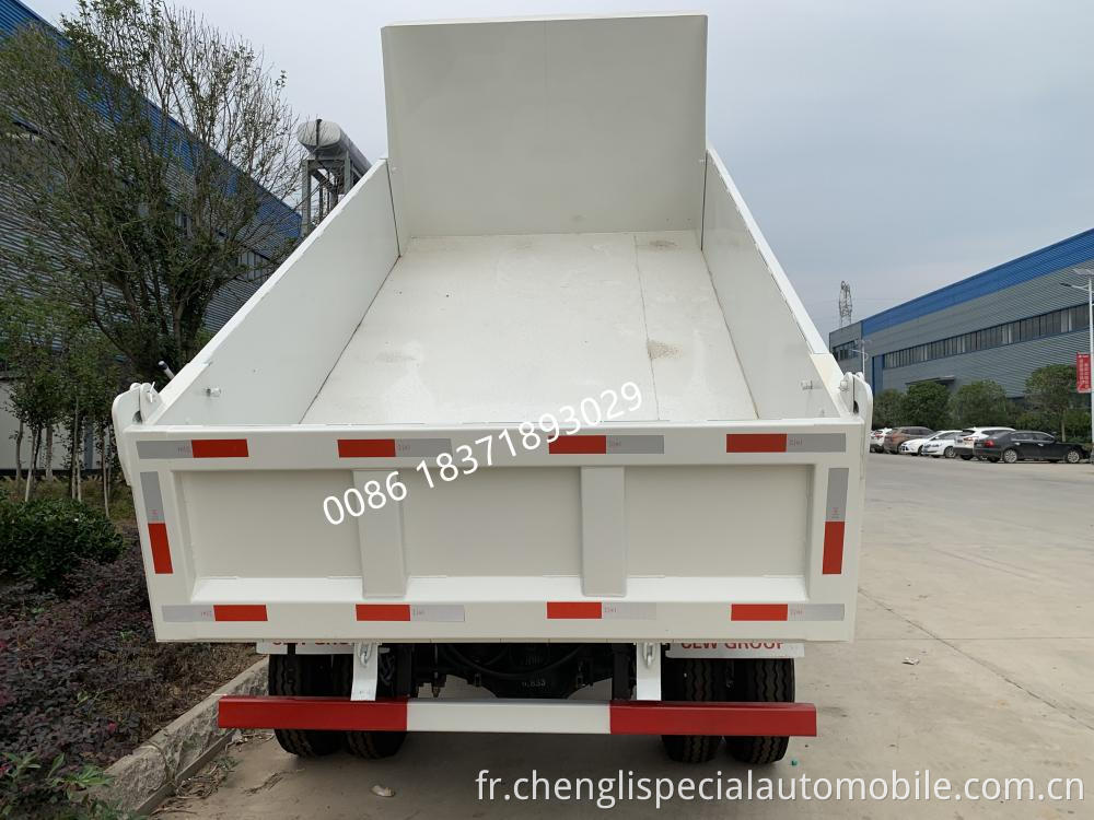 Foton 5 Tons Dump Truck 5